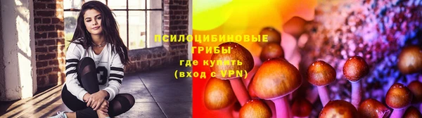 бошки Балахна