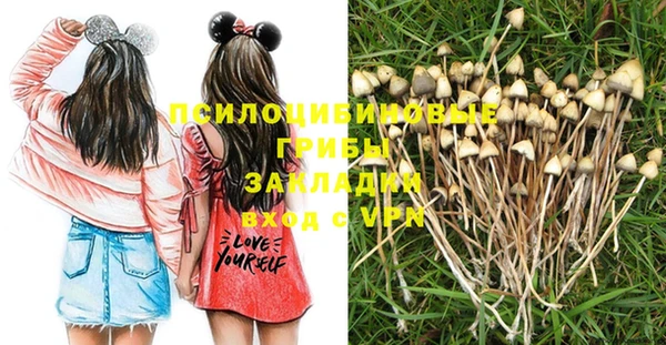 а пвп мука Балабаново